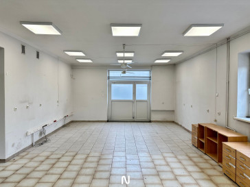 Obiekt Wynajem Łódź Łódź-Bałuty Niezapominajki