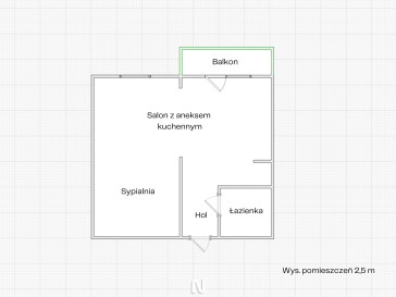 Mieszkanie Wynajem Łódź Śródmieście Piotrkowska