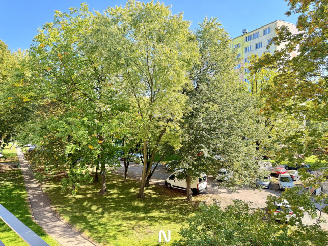 Mieszkanie Wynajem Łódź Bałuty Plantowa 10